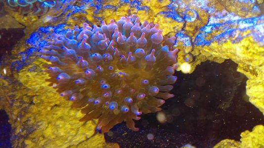 IMAG0031 [24880].jpg