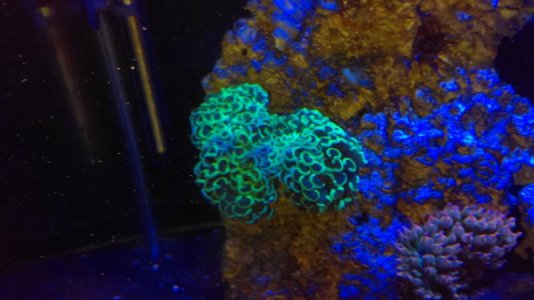 IMAG0033 [24888].jpg