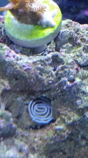 2016-05-15 21.53.15.jpg