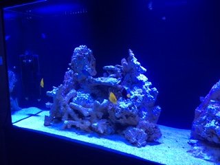 IMG_1920.JPG