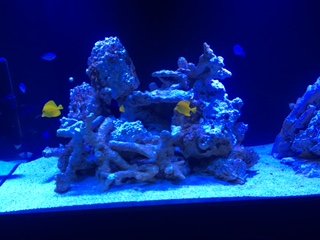 IMG_1925.JPG