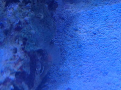 IMG_1403.jpg