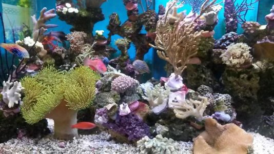 20160516_121506.jpg