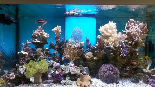 20160516_121515.jpg