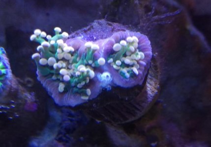 IMAG0415.jpg
