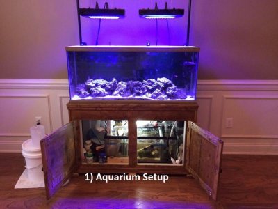 Aquarium Setup.jpg