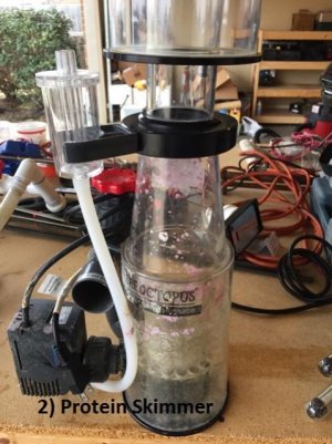 Protein Skimmer.jpg