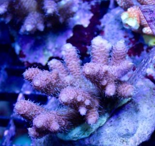Image1463597945.213115.jpg