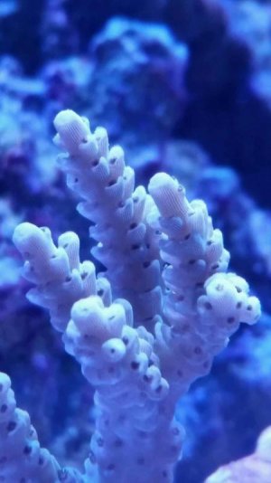 Image1464557752.795110.jpg