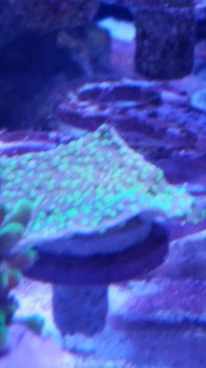 Image1464557796.166914.jpg