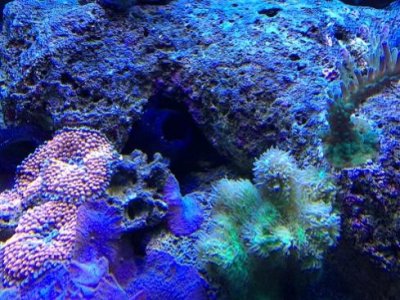 IMG_0653a.jpg