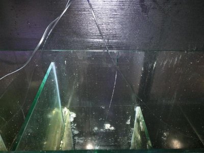 IMG_20160530_173424 (Large).jpg