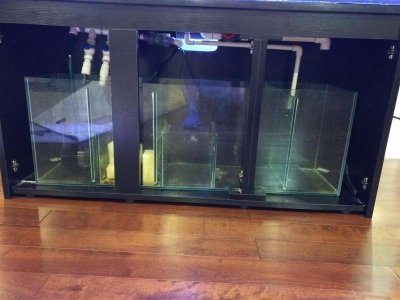 IMG_20160530_173457 (Large).jpg