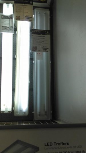 IMAG1261.jpg