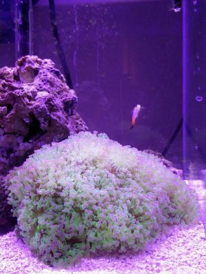 26af6ced-04cf-46c1-ae08-2f84f30e068a.jpg