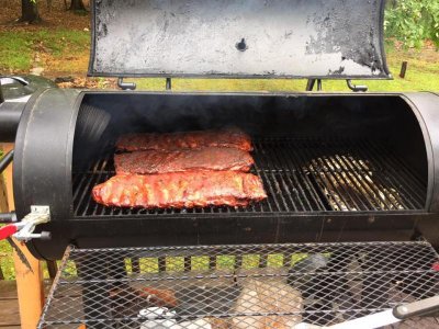ribs and yard.jpg