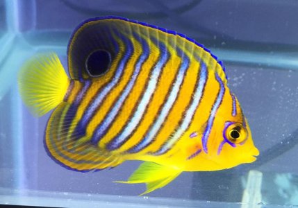 20160511_233039996_iOS.jpg