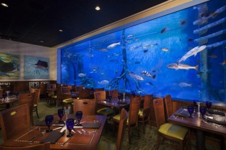 Main-Dining-Tank_54_990x660.jpg