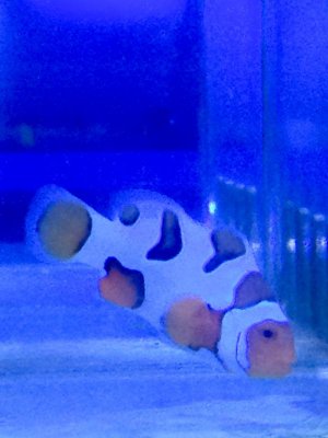 FullSizeRender 2.jpg