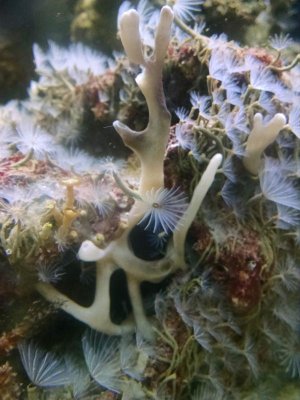 IMG_20160601_143916841[1].jpg
