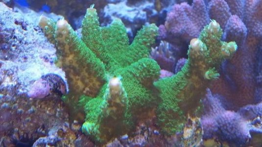 20160602_161701.jpg