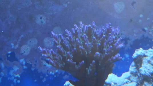 20160602_161714.jpg