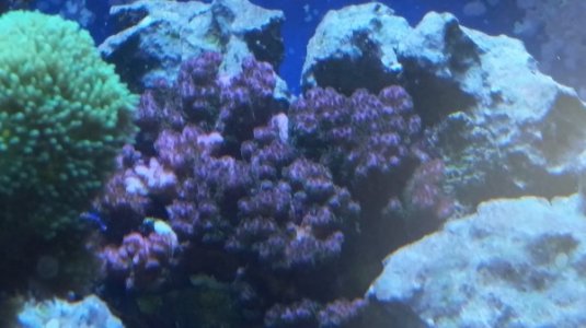 20160602_161735.jpg
