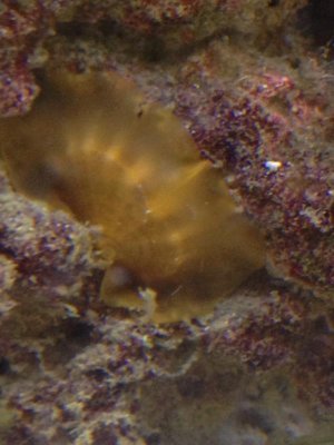 Image1463974867.165659.jpg