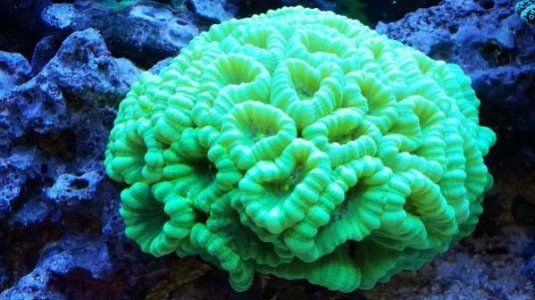 20160602_162607.jpg