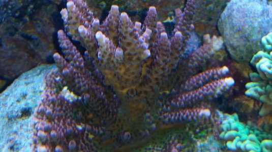 20160602_161753.jpg