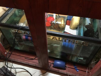IMG_3369.jpg