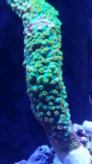 20160524_191002.jpg
