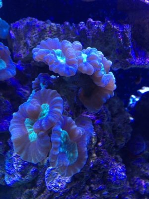 IMG_0444.jpg