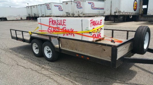 2016-06-04 07.02.26.jpg