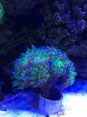 IMG_0445.jpg