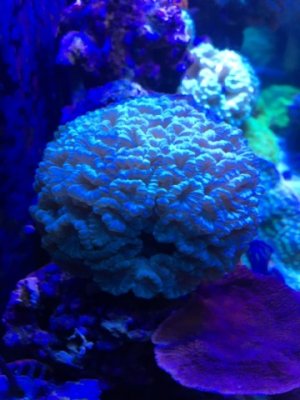 IMG_0439.jpg