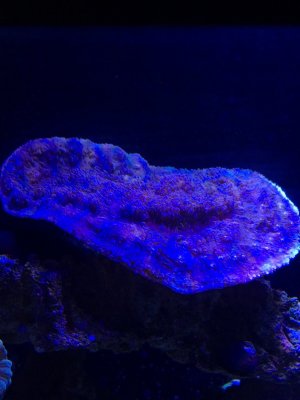 IMG_0452.jpg