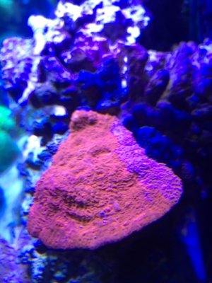 IMG_0456.jpg