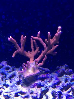 IMG_0451.jpg