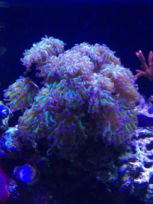 IMG_0449.jpg