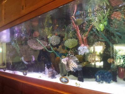 rumfish bar tank.jpg