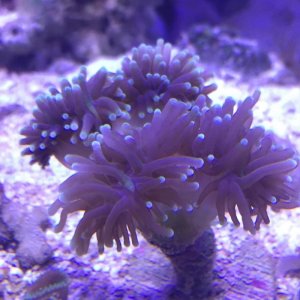 IMG_0695.jpg