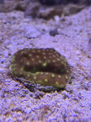 IMG_0681.jpg