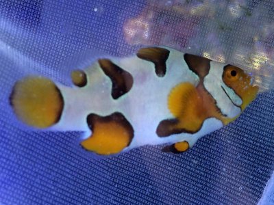 FullSizeRender 8.jpg