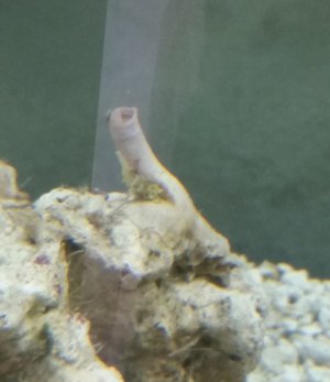 20160605_185432.jpg