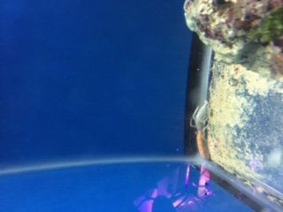 IMG_0550.JPG