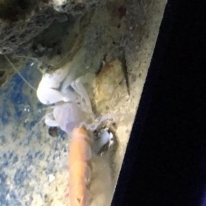 IMG_0563.jpg