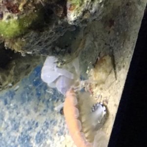 IMG_0564.jpg