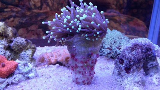 20160710_161936.jpg 20160710_161936.jpg