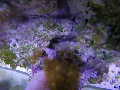 thumb_GOPR0012_1024.jpg
